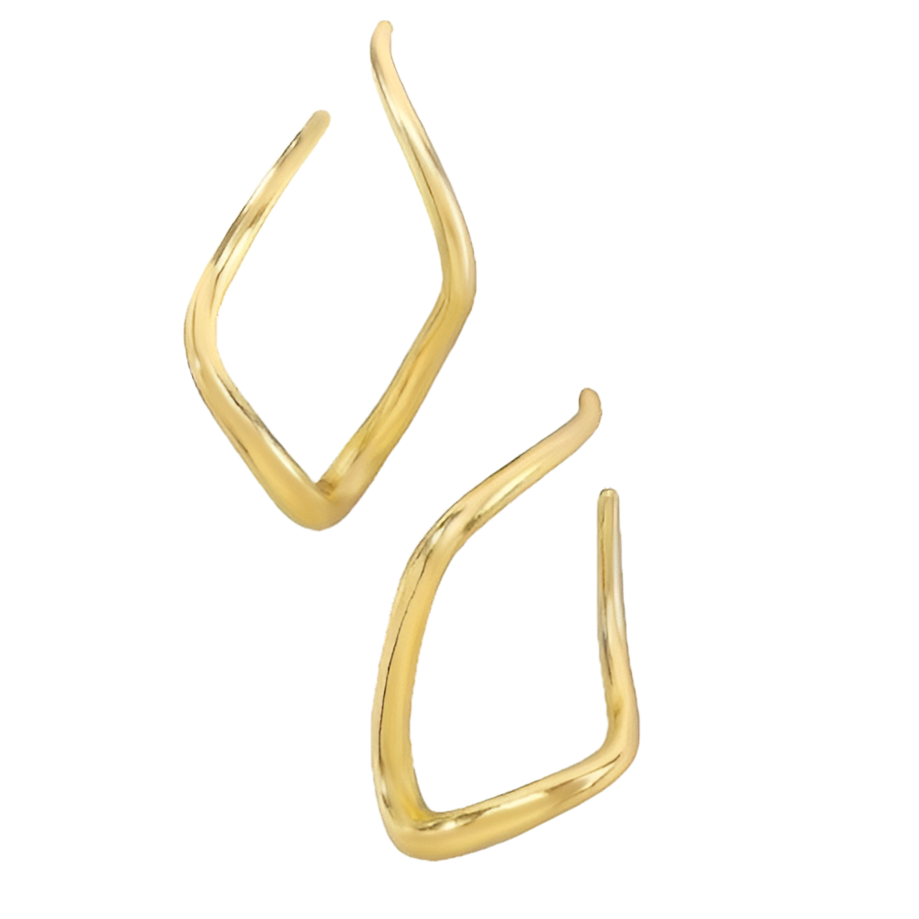 Irregular curved Line Earring