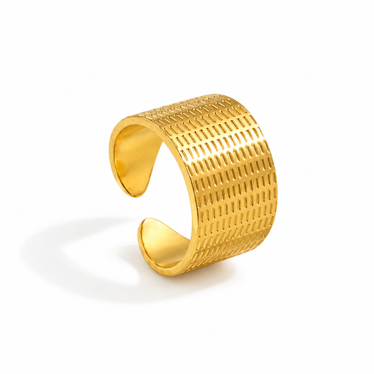 Arlo Ring