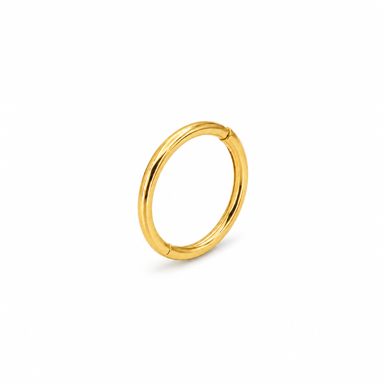 Golden Nose Ring