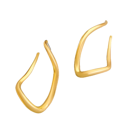 Irregular curved Line Earring