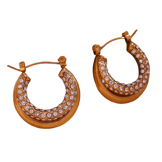 Double Hoop CZ Earring