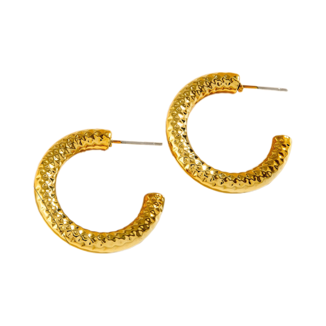 Lucia Hoop Earring